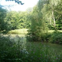 Etang David et Arboretum de la forêt de Mormal