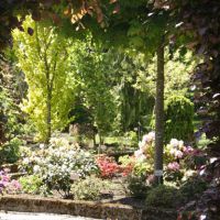 Visitez le jardin du Courtil St Roch à Maroilles